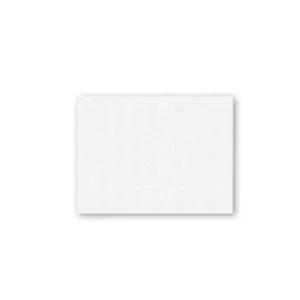 TOVAGLIE 30X40 BIANCO REG. 1 V. pz. 2400 – Tovaglietta bianca